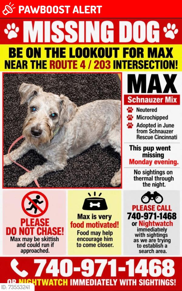 Lost Male Dog last seen Rt 4/203 intersection, Pleasant Township, OH 43342