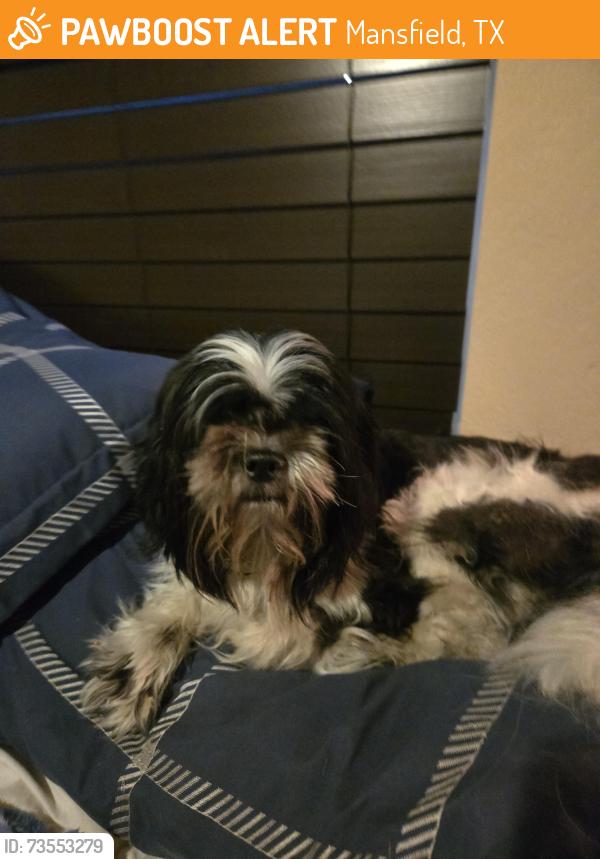 Found/Stray Male Dog last seen Cardinal and Stone Creek, Mansfield, TX 76063