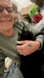 Reunited Male Cat last seen Crabtree Creek and Wolfsnare Lane, Morrisville, NC 27560