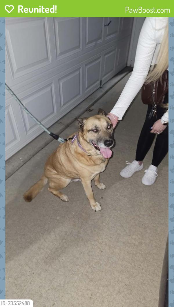Reunited Male Dog last seen Near Houston Lake in the northland, Kansas City, MO 64151
