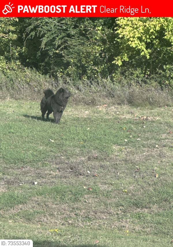 Lost Unknown Dog last seen Crosstimbers Park South, Clear Ridge Ln,  75077