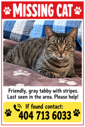 Lost Male Cat last seen Venture Dr. and Dawsonville Hwy, Gainesville, GA 30506