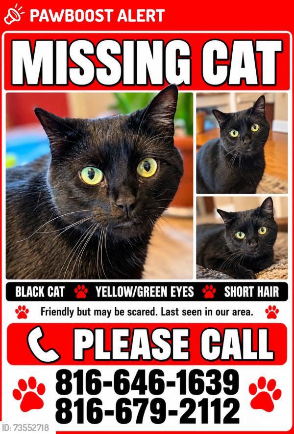 Lost Male Cat last seen Sarival Village Goodyear AZ, Los Angeles County, CA 90061