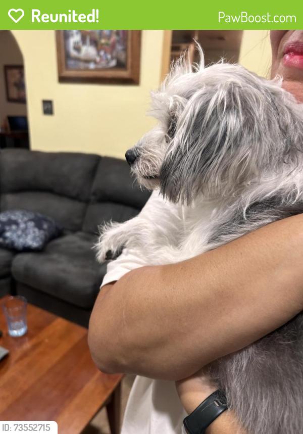 Reunited Female Dog last seen Matson and 18th, Sacramento, CA 95822