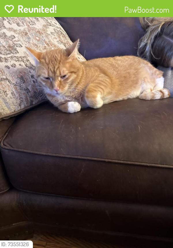 Reunited Unknown Cat last seen Near N Fairway Dr, Brookfield, WI 53005, USA, Brookfield, WI 53005