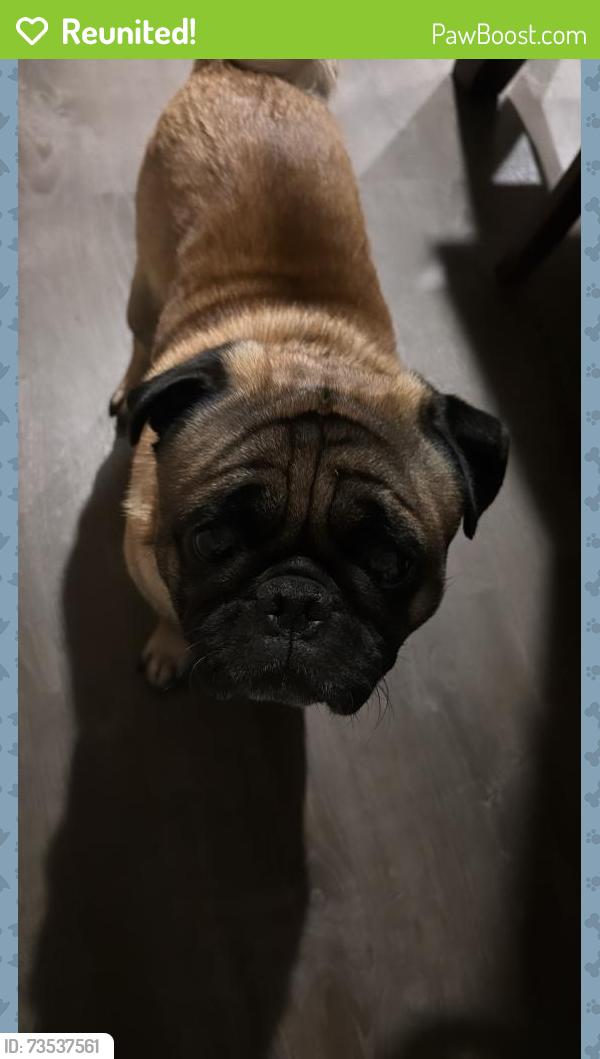 Reunited Male Dog last seen Redwood est, Houston, TX 77044