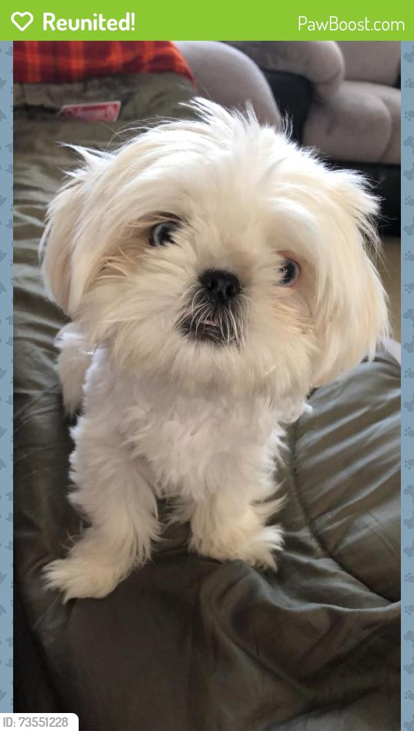 Reunited Female Dog last seen Barbara McLintock Elementary, Pasco, WA 99301