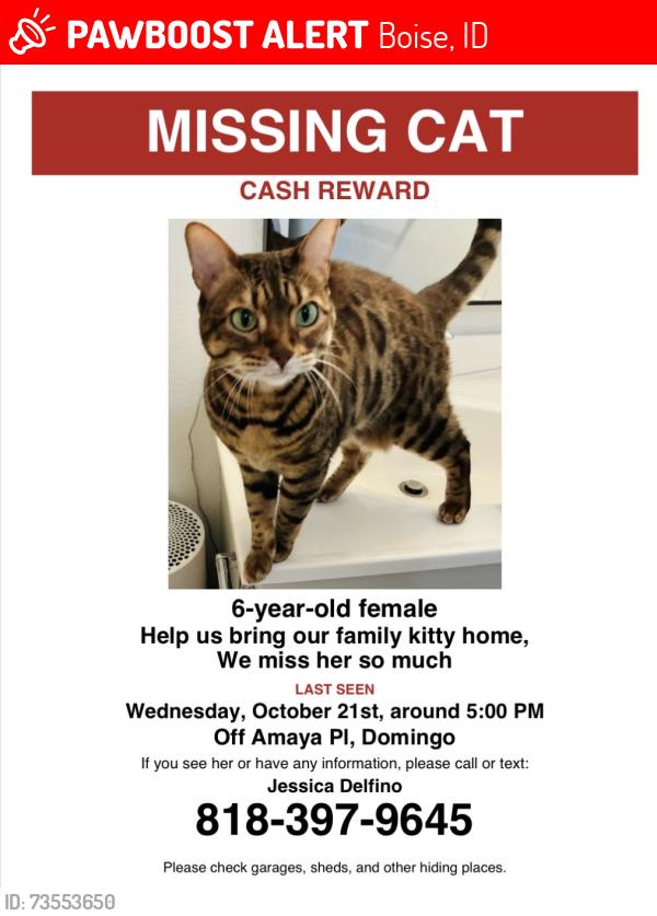 Lost Female Cat last seen Lizaso and overland, Boise, ID 83709