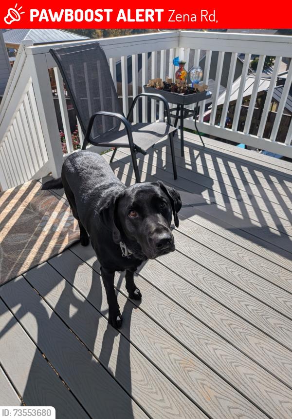 Lost Male Dog last seen Zenith Winery, Zena Rd,  97371