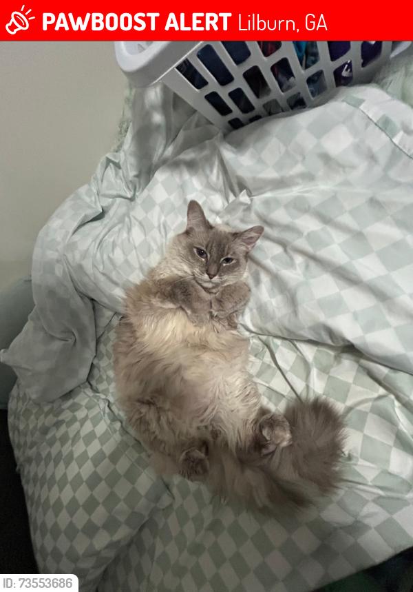 Lost Female Cat last seen Entrance by Buckskin Trail SW, Lilburn, GA 30047