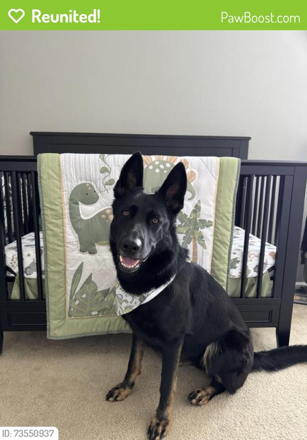 Reunited Female Dog last seen Near Executive Dr, Suite O Indianapolis, IN 46241 United States, Indianapolis, IN 46241