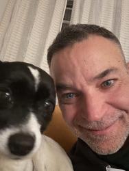 Reunited Female Dog last seen Raynor & starlight, Morris Township, NJ 07960