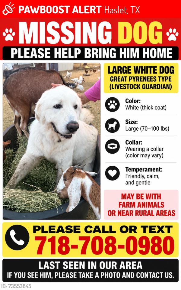 Lost Male Dog last seen Heart st, Haslet, TX 76052