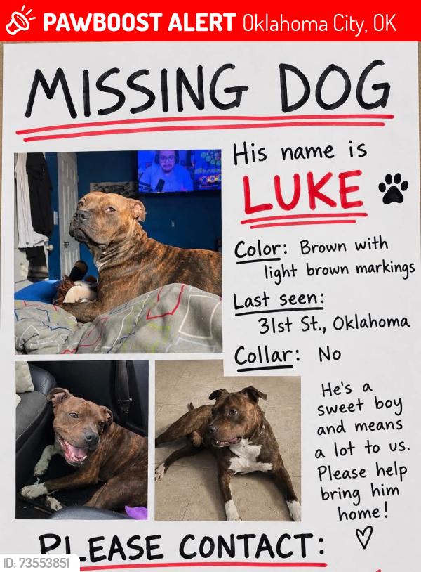 Lost Male Dog last seen Binkley, Oklahoma City, OK 73119