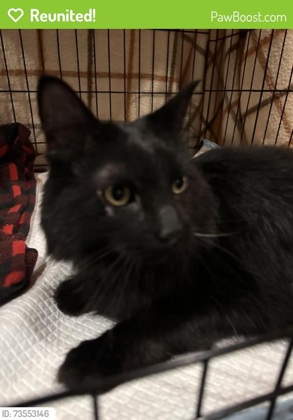Reunited Unknown Cat last seen Near Chatsworth Street North, Roseville, MN 55113, USA, Roseville, MN 55113