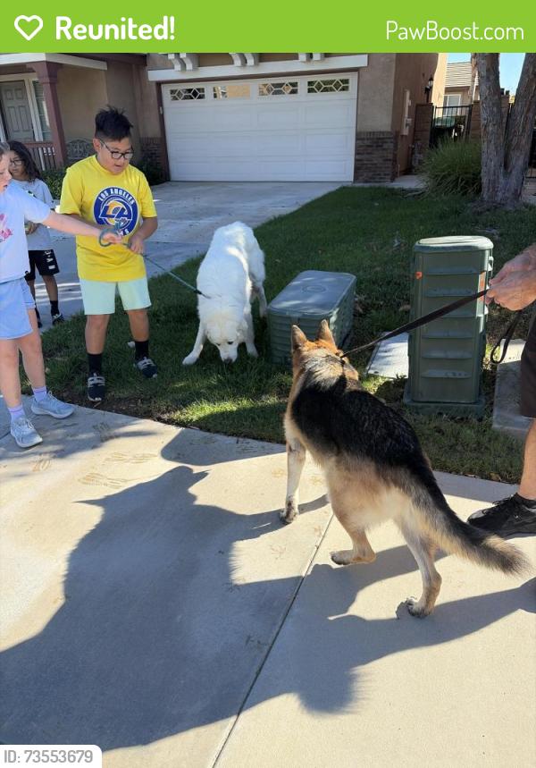 Reunited Male Dog last seen Promontory, Quiet Run Ct,  92591