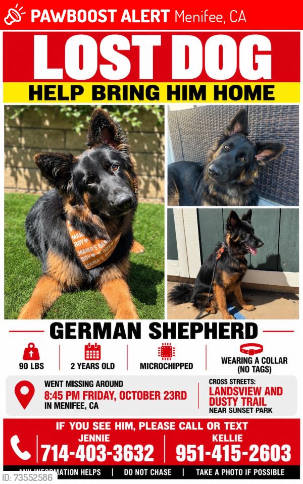 Lost Male Dog last seen Near forester Circle, Menifee, CA 92587