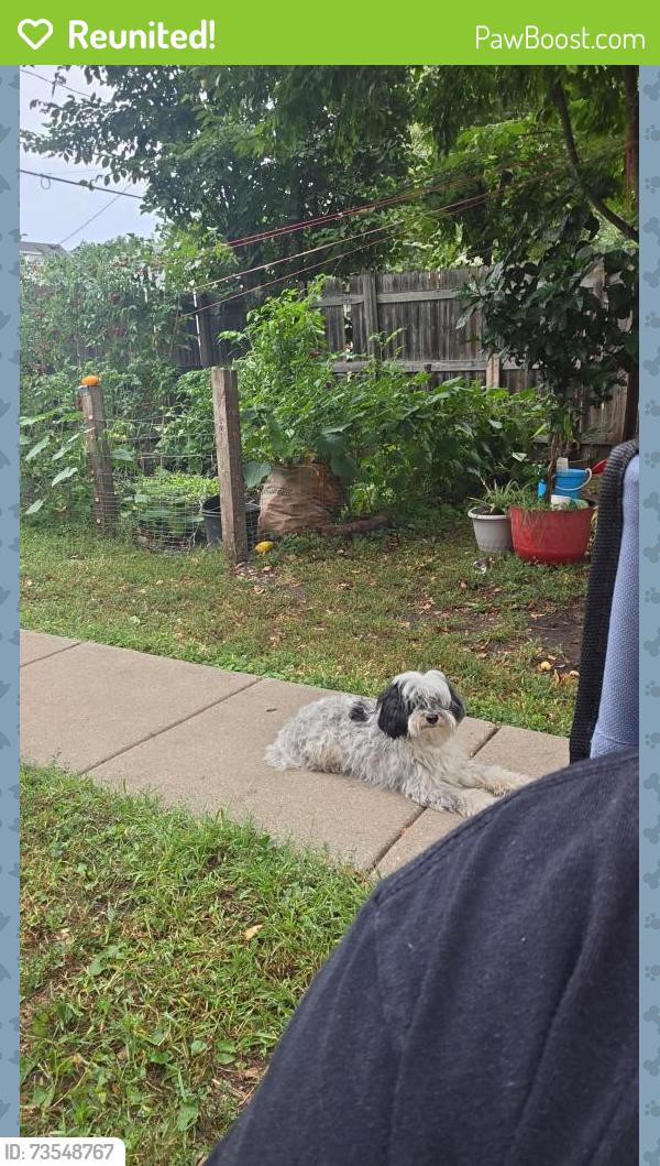 Reunited Male Dog last seen Near logan, Minneapolis, MN 55411