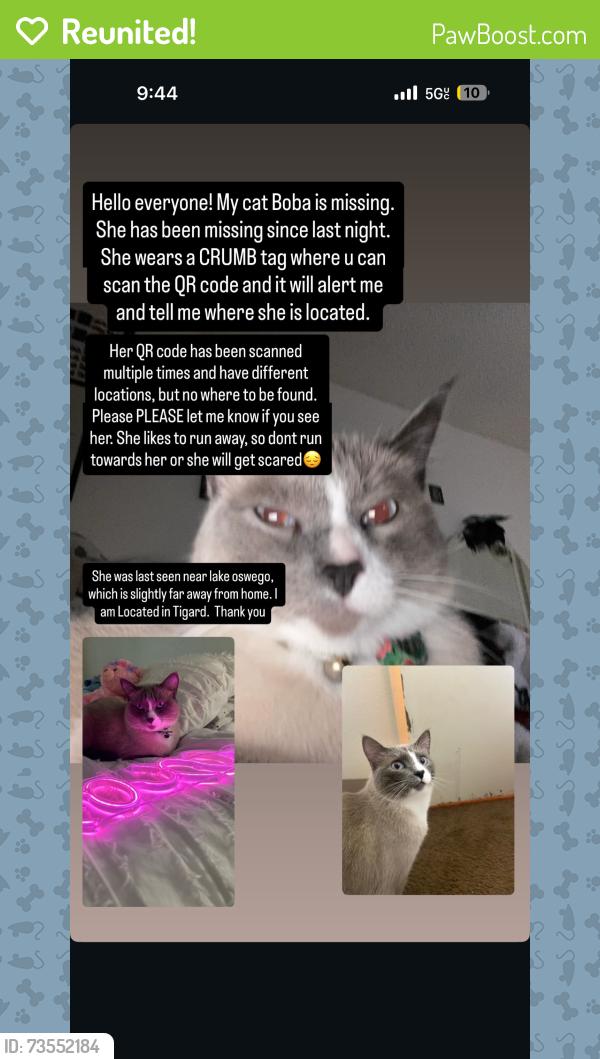Reunited Female Cat last seen Meadows rd by applebees, Lake Oswego, OR 97035