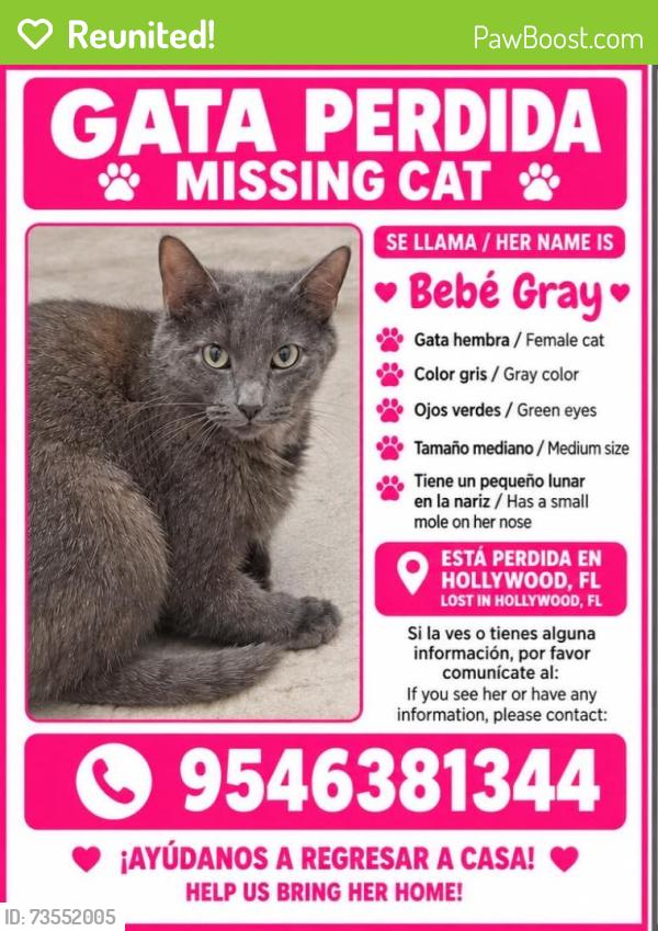 Reunited Female Cat last seen Near Plunkett St, Hollywood, FL 33020, USA, Hollywood, FL 33020