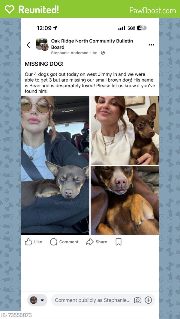 Reunited Male Dog last seen Near W Jimmy Ln, Conroe, TX 77385, USA, Conroe, TX 77385