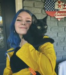 Reunited Male Cat last seen Oglewood Ave, Knoxville, TN, USA, Knoxville, TN 37917