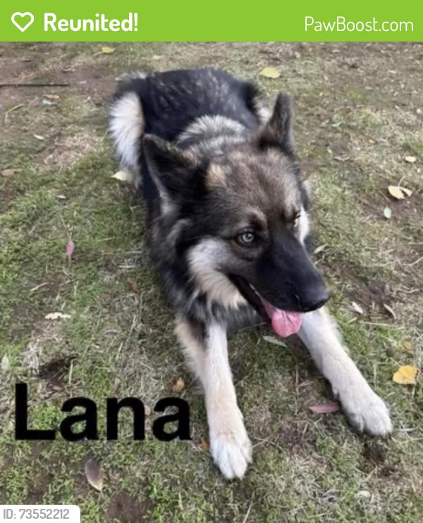 Reunited Female Dog last seen Armstrong & International in Clovis, Clovis, CA 93619