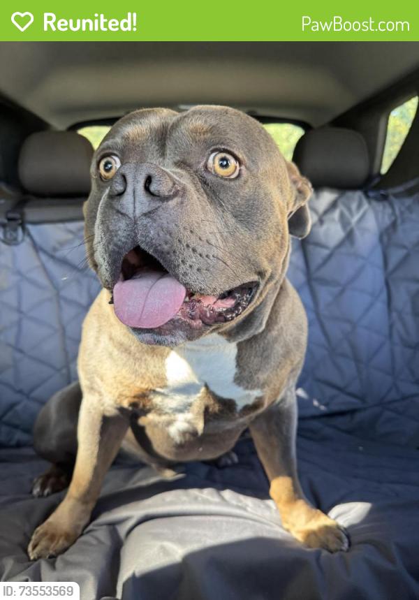 Reunited Male Dog last seen E Brookland Park Blvd and Letcher, Richmond, VA 23222