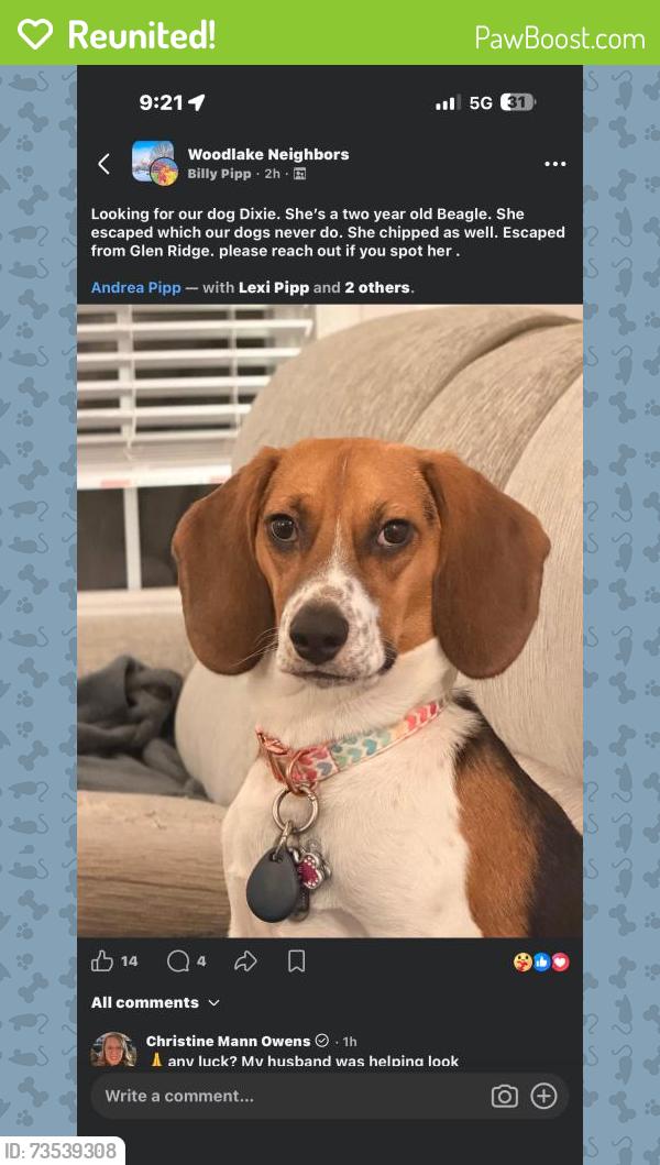 Reunited Female Dog last seen Near Glen Ridge Ct, Midlothian, VA 23112, USA, Midlothian, VA 23112