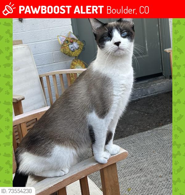 Lost Female Cat last seen pawnee pl/dr (unclear where exactly) in the frazier meadows neighborhood, Boulder, CO 80303