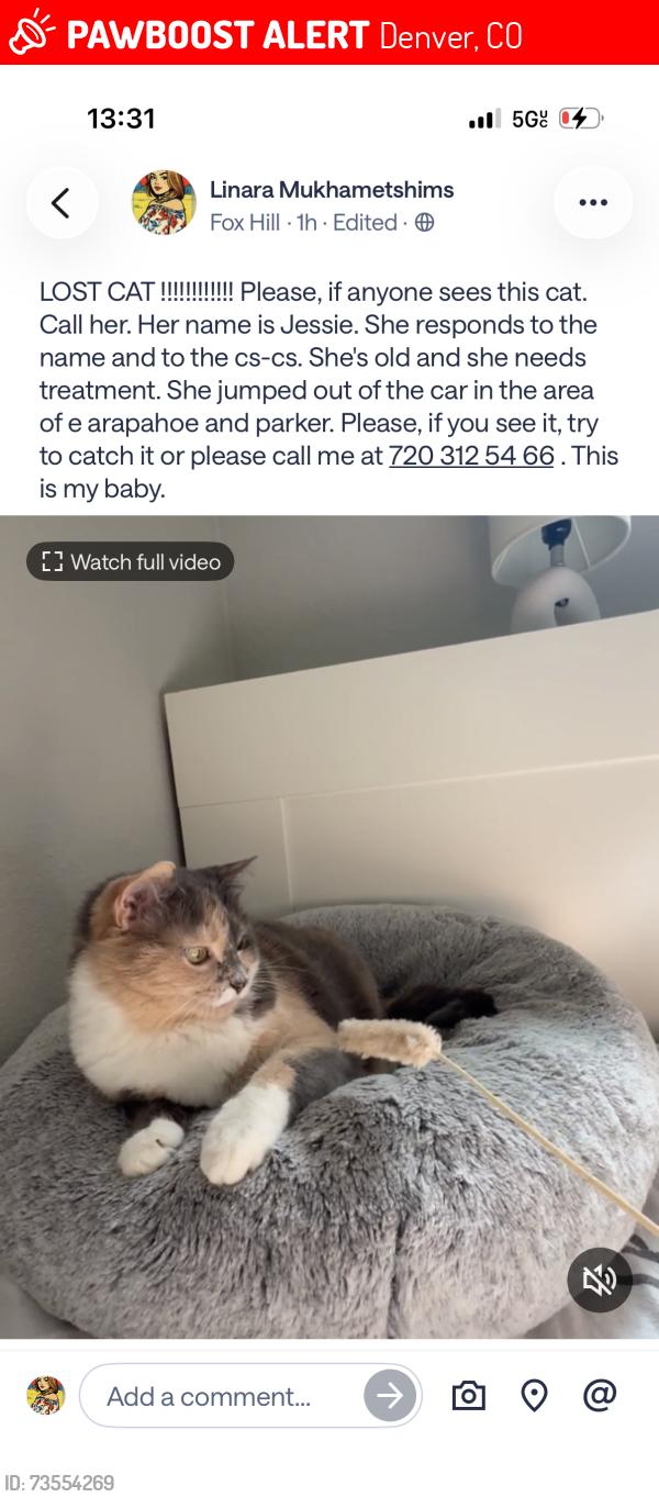 Lost Female Cat last seen E Arapahoe rd & s Parker rd, Denver, CO 80224