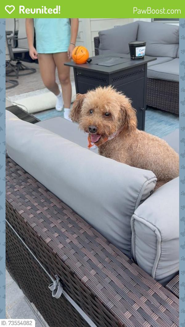 Reunited Male Dog last seen Barker Bayou Ct and Cypress Point Dr., Cypress, TX 77429
