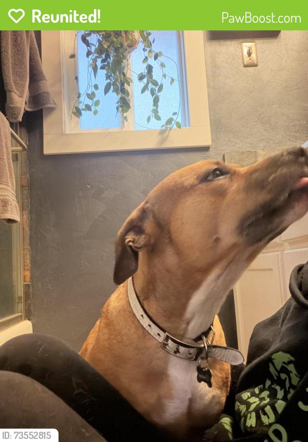 Reunited Male Dog last seen Nw welsh & Nw Creekview dr, Portland, OR 97229