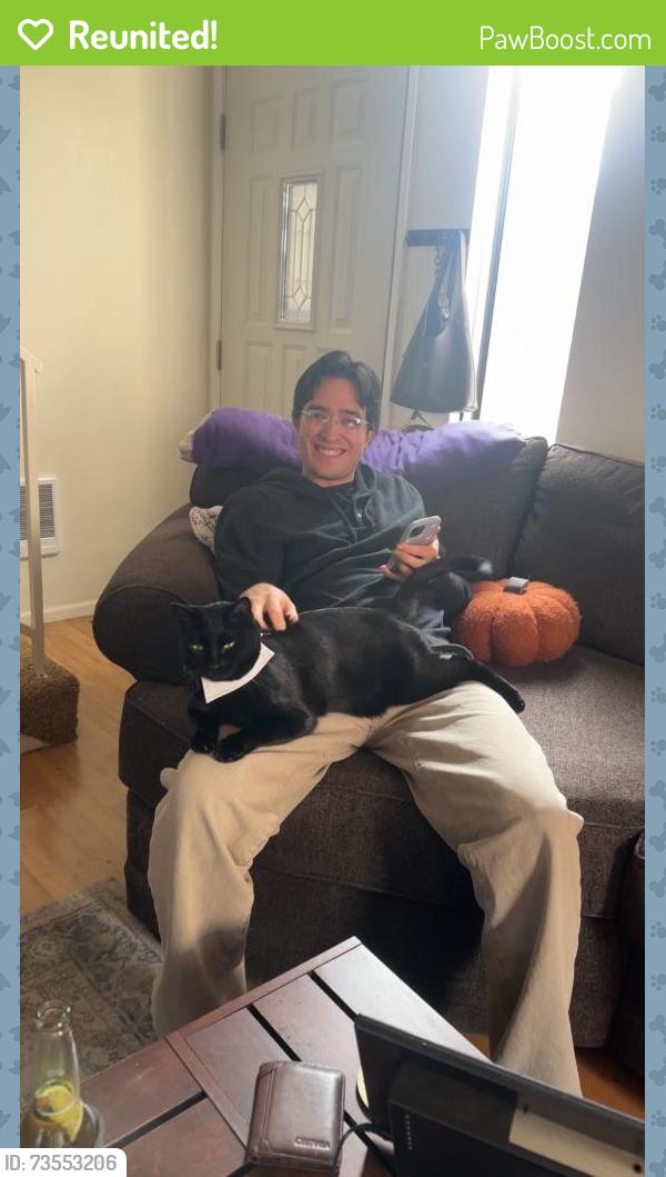 Reunited Male Cat last seen Near Madras St, Salem, OR 97306