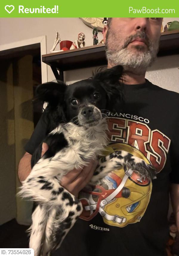 Reunited Male Dog last seen Craig, North Las Vegas, NV 89030