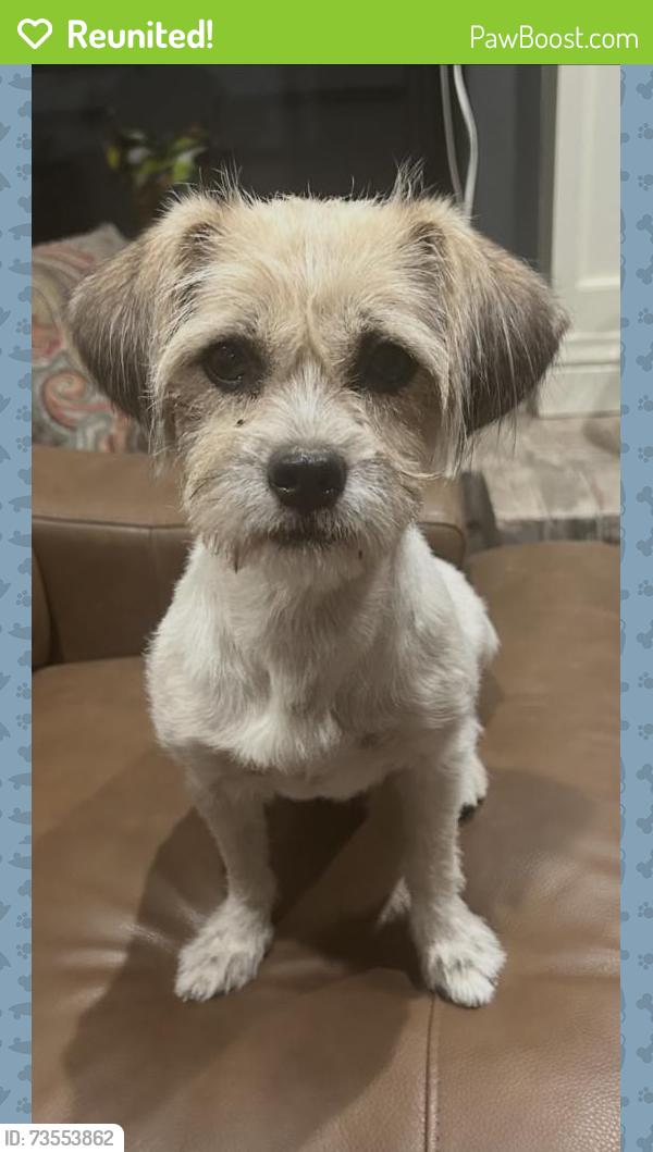 Reunited Female Dog last seen Nordhoff and Aqueduct, Los Angeles, CA 91343