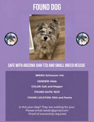 Found/Stray Male Dog last seen 115th and Peoria, Youngtown, AZ 85363
