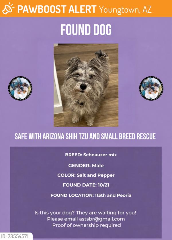 Found/Stray Male Dog last seen 115th and Peoria, Youngtown, AZ 85363
