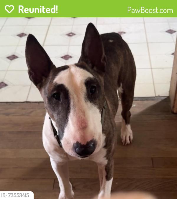 Reunited Male Dog last seen Main and crosstimbers, Houston, TX 77022