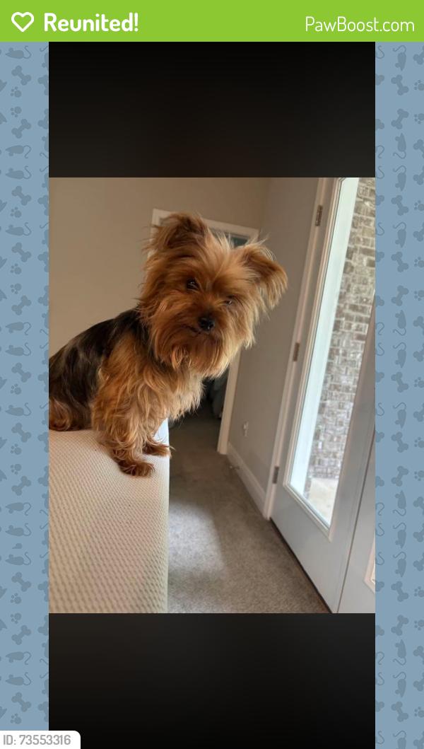 Reunited Female Dog last seen Florida Pkwy, Kissimmee, Fl 34743, Buena Ventura Lakes, FL 34743