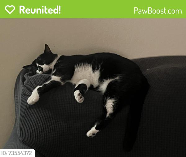 Reunited Male Cat last seen Near Center Ave, Martinez, CA 94553