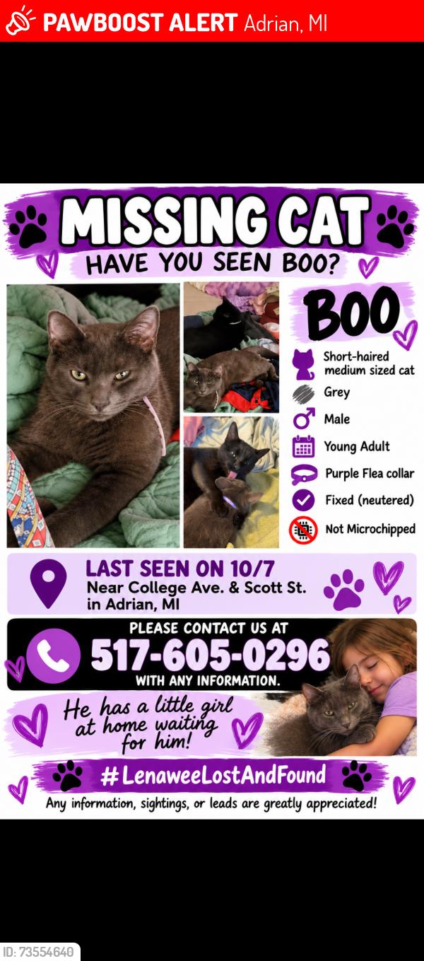 Lost Male Cat last seen College Ave & Scott St., Adrian, MI 49221