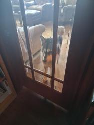 Found/Stray Male Dog last seen Lawton st, San Francisco, CA 94122