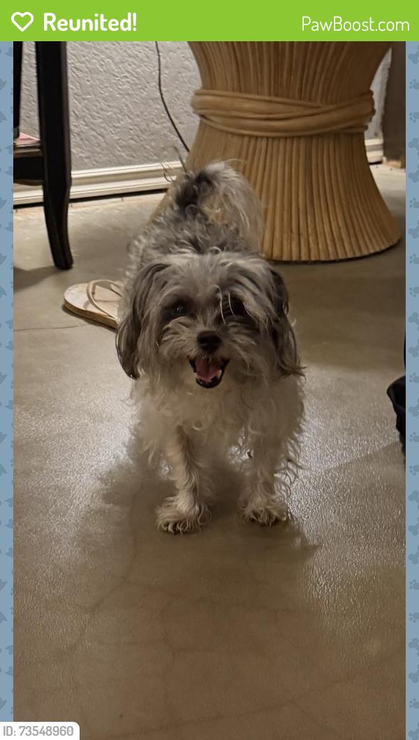 Reunited Female Dog last seen Catamaran Dr, Oklahoma City, OK 73099, USA, Oklahoma City, OK 73099