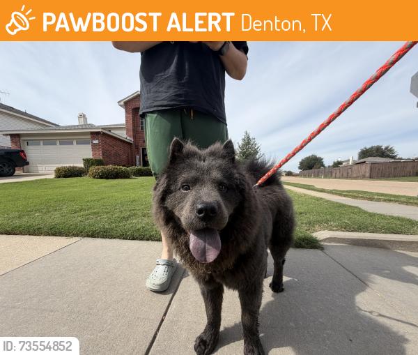 Found/Stray Unknown Dog last seen Near cross timbers park, Denton, TX 76210