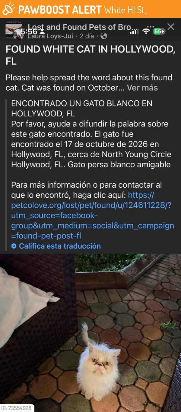Found/Stray Unknown Cat last seen Hollywood, White Hl St,  33825