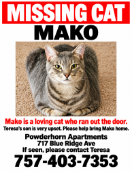 Reunited Male Cat last seen Blue Ridge Avenue near Spruce Street, Bedford, VA. The town’s transportation plan places the apmt complexes about 300 feet west of Spruce Street., Bedford, VA 24523