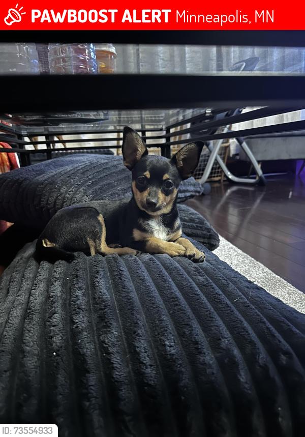 Lost Female Dog last seen Near 6th st ne, Minneapolis, MN 55413