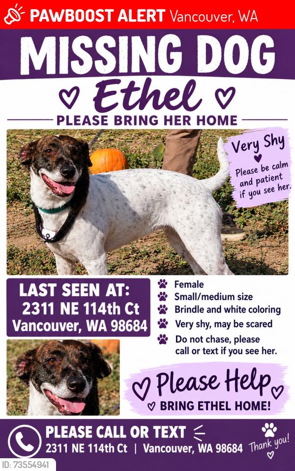 Lost Female Dog last seen 112th and burton, Vancouver, WA 98684