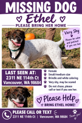 Lost Female Dog last seen 112th and burton, Vancouver, WA 98684